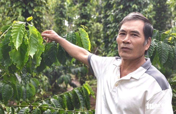 Đắk Lắk cân nhắc đề nghị thu hồi 'trắng' đất sân bay Buôn Ma Thuột cấp sai từ 40 năm trước - Ảnh 3.