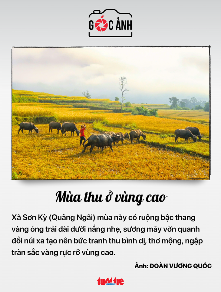 Tin tức sáng 24-9: EVN đưa khoản lỗ vào giá điện, nhóm nào chịu tác động mạnh nhất? - Ảnh 8.
