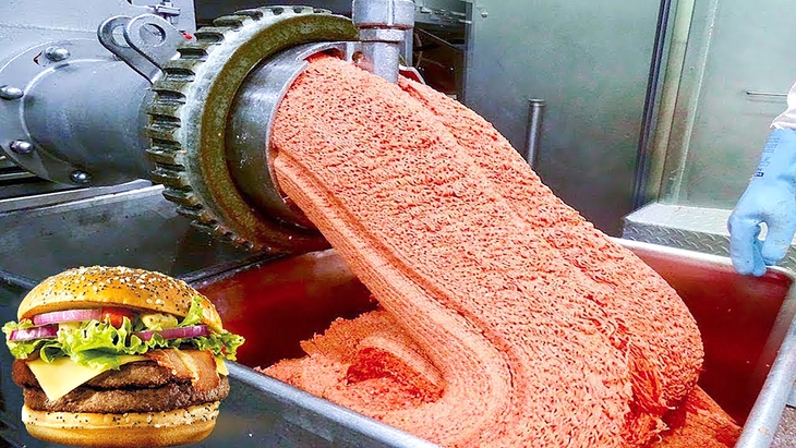 Thương hiệu - những bài học bảo vệ uy tín - Kỳ 4: McDonald's thay thịt bò bằng giun đất? - Ảnh 2.