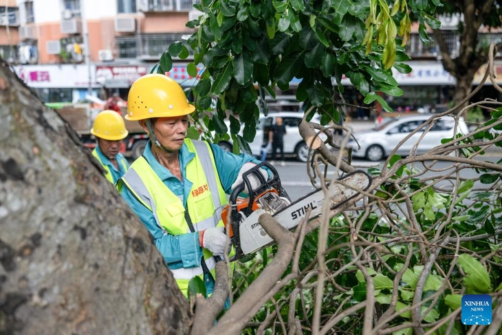 1 người chết và 7 người bị thương do lở đất khi siêu bão Ragasa 'quần thảo' Philippines - Ảnh 4.