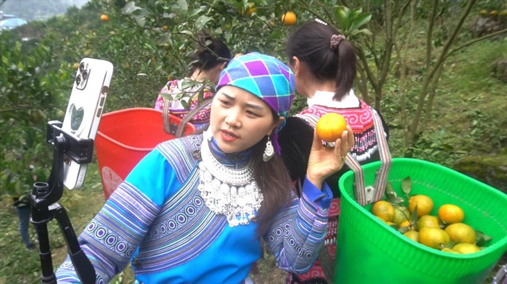 Hợp tác xã điện tử - ‘chìa khóa’ góp phần giúp đồng bào thoát nghèo - Ảnh 1.