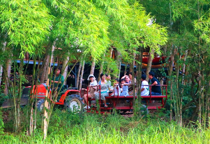 Khánh Hòa đề ra chương trình hành động để trở thành TP trực thuộc Trung ương năm 2030- Ảnh 2.