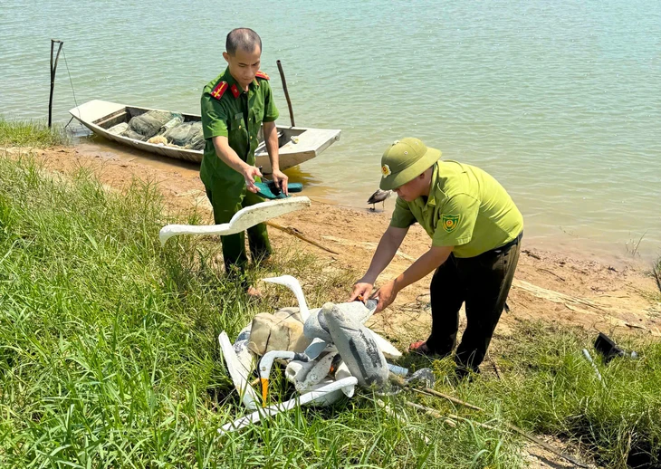 Phá bỏ, tiêu hủy hàng ngàn dụng cụ bẫy bắt chim trời mùa di cư - Ảnh 4.