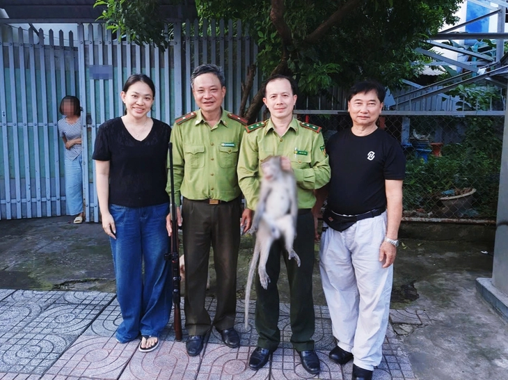 Bắn gây mê, bắt khỉ đuôi dài hơn 8kg vào nhà dân ở phường Chánh Hưng lục lọi đồ ăn - Ảnh 5.