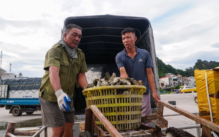 Bão Ragasa đang cách Quảng Ninh 170km, miền Bắc mưa lớn hôm nay - Ảnh 2.