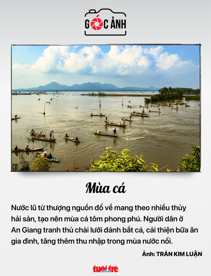 Tin tức sáng 25-9: Đề xuất sáp nhập trường mầm non, phổ thông quy mô nhỏ; Lợi nhuận chủ đất tăng - Ảnh 7.