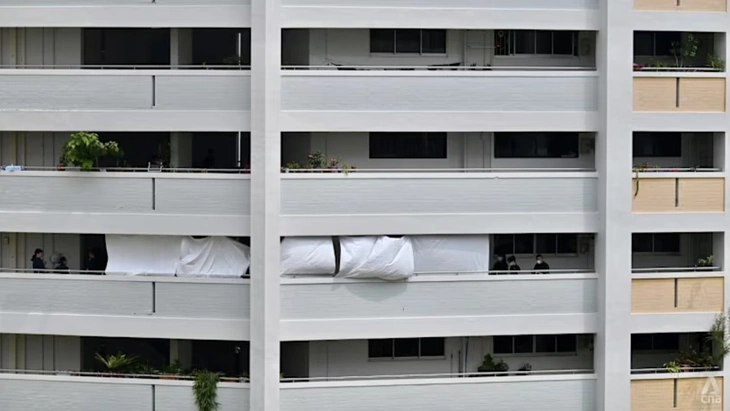 Một phụ nữ Việt bị đâm tử vong sau xô xát với hàng xóm tại Singapore - Ảnh 2.
