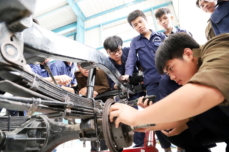 Bộ Giáo dục: Chưa có phương án sáp nhập, tinh giản đại học như tin đồn - Ảnh 3.