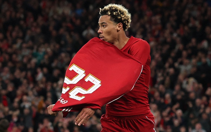 Fan kêu gọi bỏ ‘bức tường tử thần’ sau tai nạn của cựu cầu thủ Arsenal - Ảnh 2.