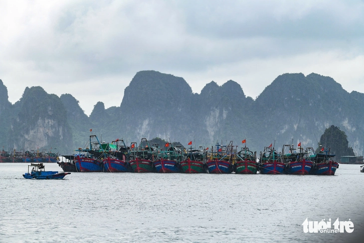 Bão Bualoi rất mạnh, có thể đi thẳng vào Đà Nẵng - Huế hoặc vào Bắc Trung Bộ - Ảnh 2.