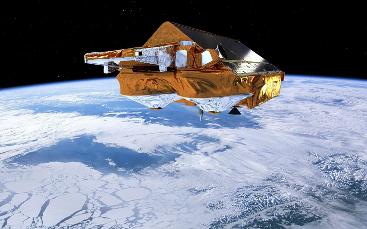 Phát hiện loài côn trùng duy nhất ở Nam cực ăn phải vi nhựa - Ảnh 2.