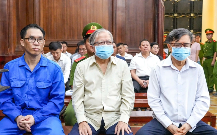 Bị tuyên phạt 13 năm tù, ông Đinh Trường Chinh xin giảm nhẹ  - Ảnh 2.