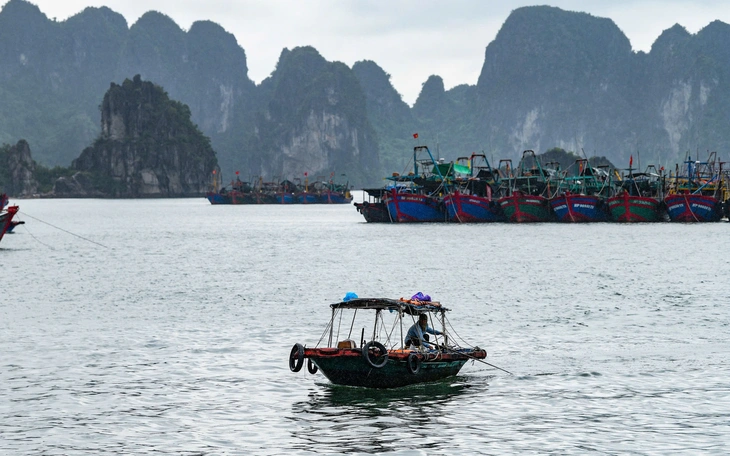 Bão Ragasa suy yếu thành áp thấp nhiệt đới, Hải Phòng dỡ lệnh cấm biển - Ảnh 2.