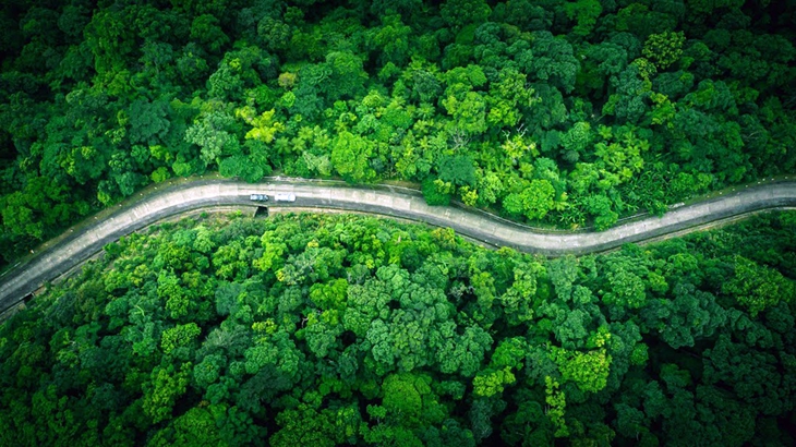Đất, rừng và 'mỏ vàng xanh' từ tín chỉ carbon - Ảnh 1.