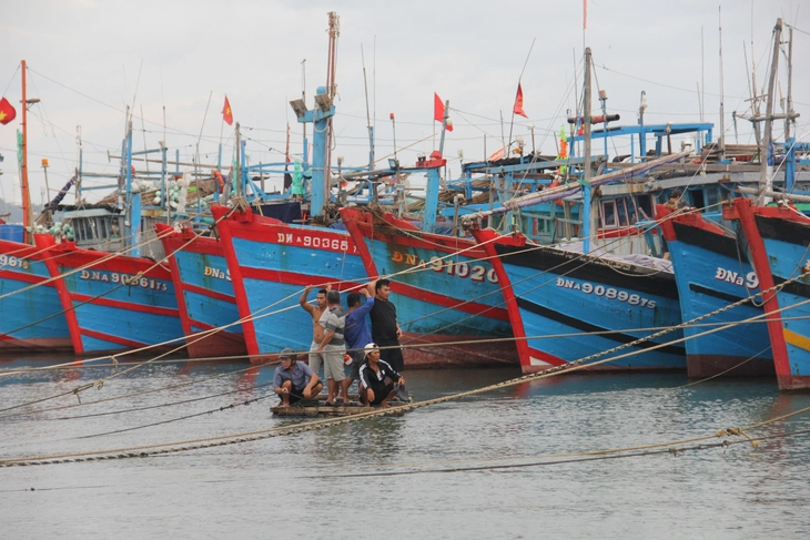 Còn hàng trăm tàu cá vẫn hoạt động trên biển, Đà Nẵng gấp rút gọi vào bờ trú bão  - Ảnh 2.