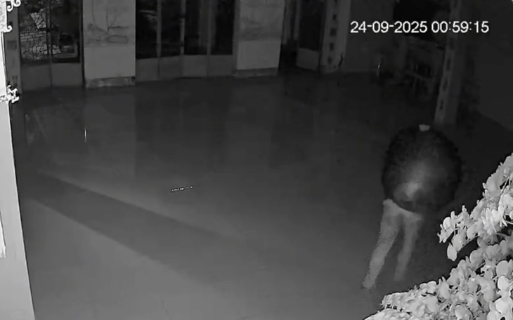 Chùa mất chuông, đăng clip lên mạng mong kẻ trộm 'sớm thức tỉnh' - Ảnh 1.