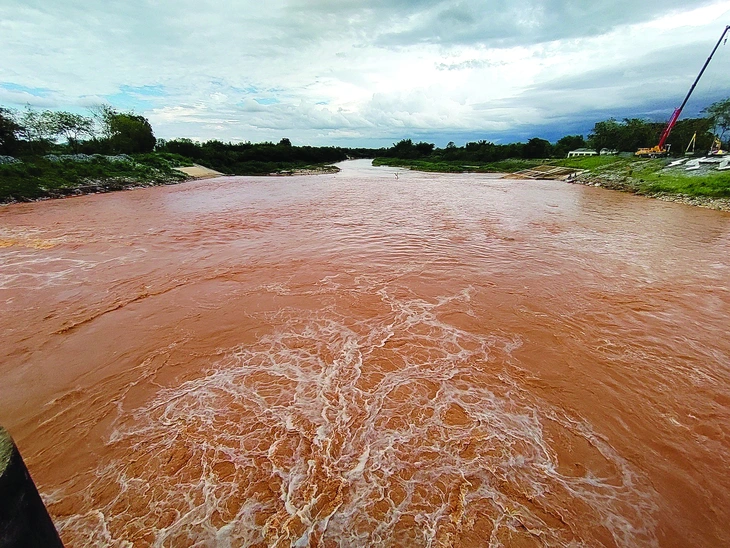 Đất hiếm vẩn đục dòng Mekong - Ảnh 1.
