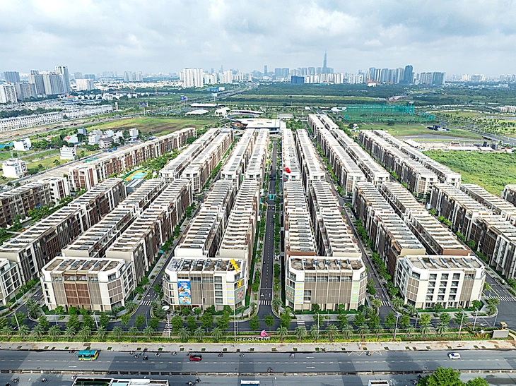 Tiền ồ ạt đổ vào bất động sản: Coi chừng lợi bất cập hại - Ảnh 1.