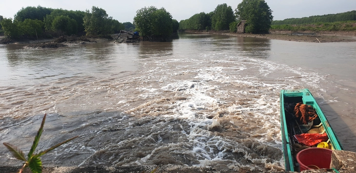 Hai chị em ruột tử vong khi đi giăng lưới trong vuông tôm - Ảnh 1.