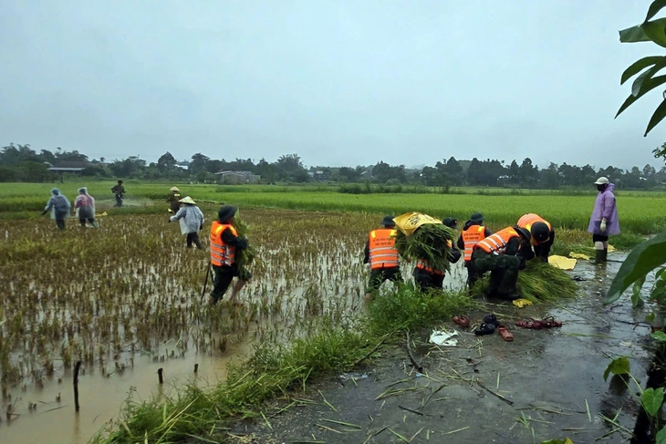 Chống bão Bualoi: Hà Tĩnh cấm biển, bắt đầu sơ tán dân; Bộ đội nhiều nơi ra đồng gặt lúa giúp dân - Ảnh 2.