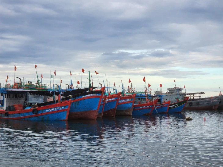 Chống bão Bualoi: Hà Tĩnh cấm biển, bắt đầu sơ tán dân; Bộ đội nhiều nơi ra đồng gặt lúa giúp dân - Ảnh 5.