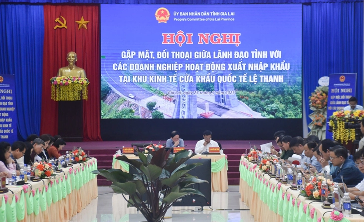 Đề nghị đơn giản hóa thủ tục ở cửa khẩu quốc tế Lệ Thanh - Ảnh 2.