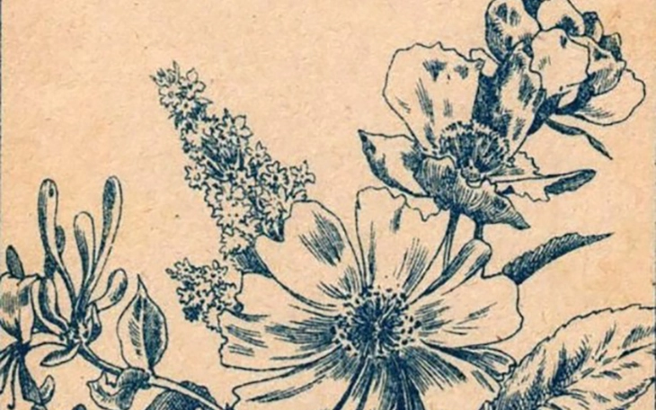 Thành ngữ nào chỉ hai người tranh đấu, kẻ thứ ba hưởng lợi? - Ảnh 7.