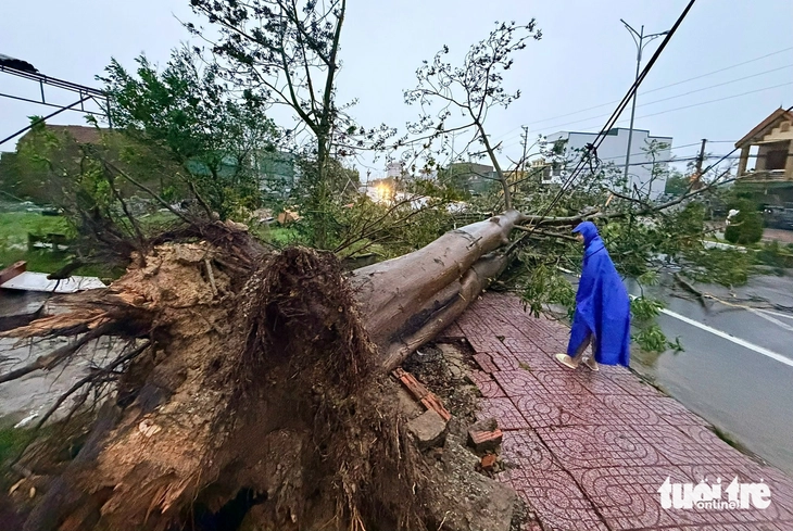 Storm Bualoi: Ha Tinh and Nghe An are in disarray after the storm, with heavy rain and wind - Photo 3.