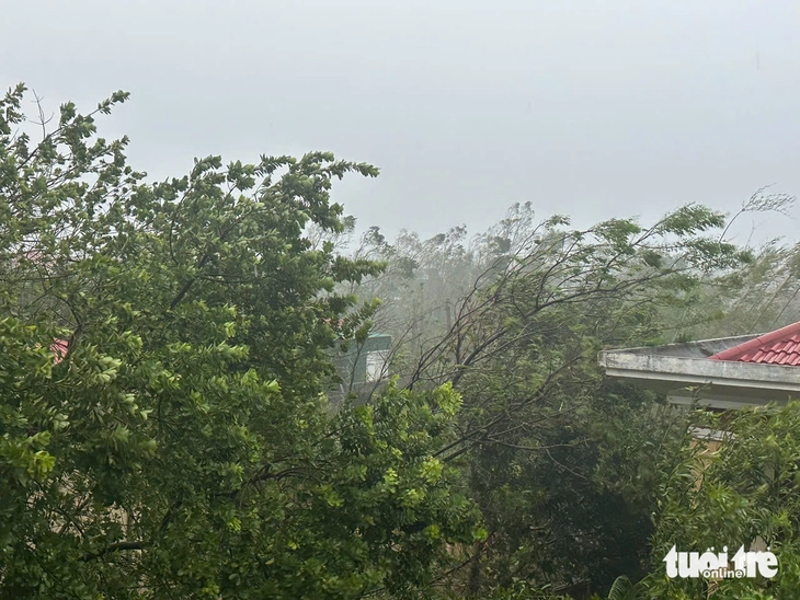 Storm Bualoi: Ha Tinh and Nghe An are in disarray after the storm, with heavy rain and wind - Photo 7.
