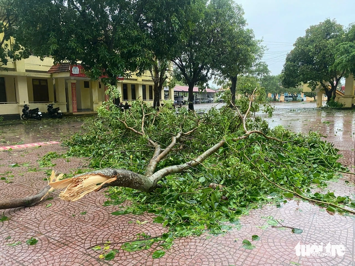 Storm Bualoi: Ha Tinh and Nghe An are in disarray after the storm, with heavy rain and wind - Photo 8.