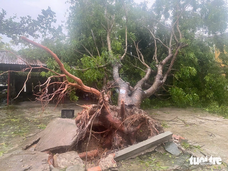 Storm Bualoi: Ha Tinh and Nghe An are in disarray after the storm, with heavy rain and wind - Photo 9.