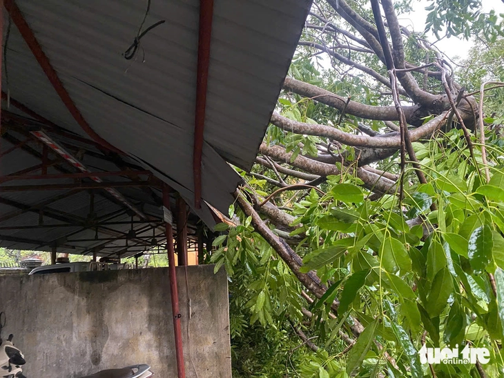 Storm Bualoi: Ha Tinh and Nghe An are in disarray after the storm, with heavy rain and wind - Photo 10.
