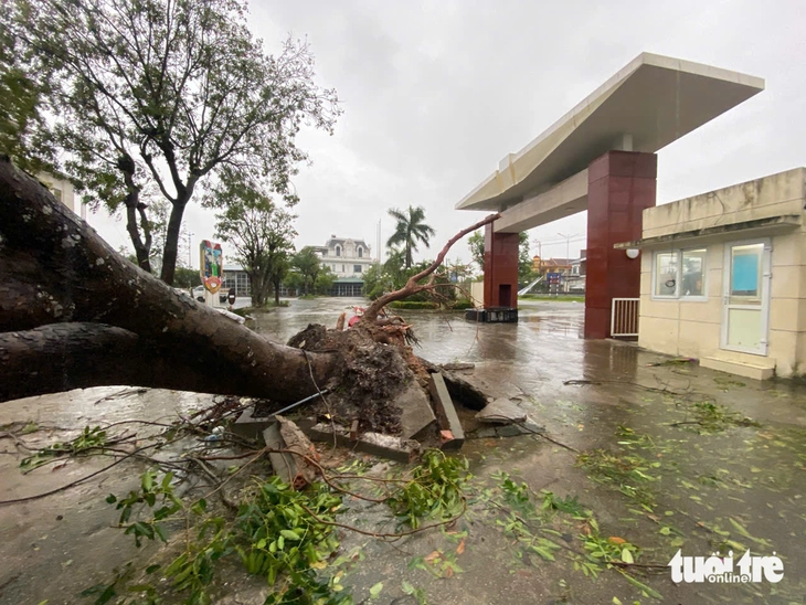 Storm Bualoi: Ha Tinh and Nghe An are in disarray after the storm, with heavy rain and wind - Photo 11.