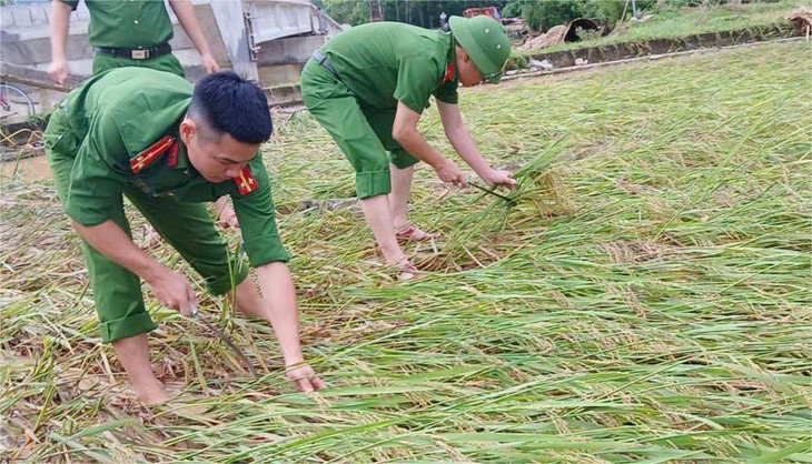 Công an Thanh Hóa gặt lúa giúp dân, hỗ trợ dân đi tránh bão số 10 - Ảnh 2.