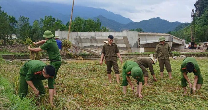 Công an Thanh Hóa gặt lúa giúp dân, hỗ trợ dân đi tránh bão số 10 - Ảnh 3.