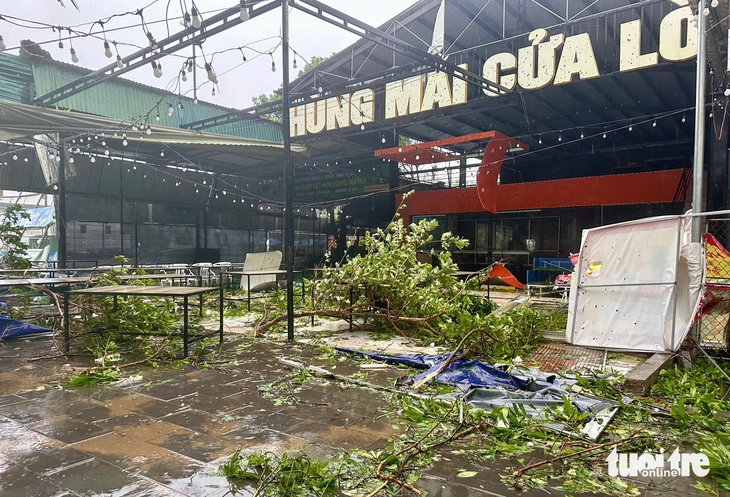 Bão Bualoi: Hà Tĩnh, Nghệ An, Quảng Trị ngổn ngang, mưa gió tơi bời - Ảnh 3.