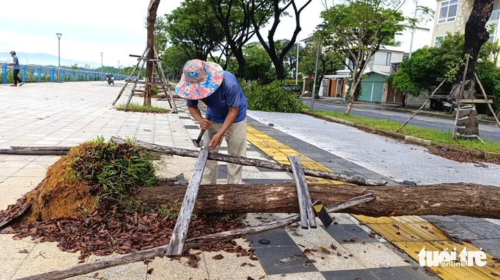 Cây xanh bật gốc ngã la liệt trên vỉa hè ven sông Đà Nẵng - Ảnh 2.