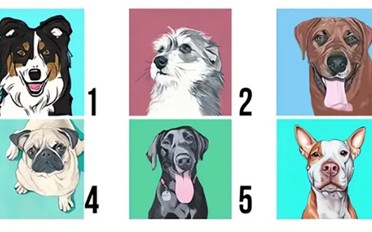 Quiz: Cô gái 'tâm cơ' soi thấu tính cách con người bạn - Ảnh 2.