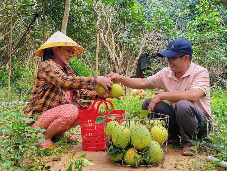 Thanh trà - Ảnh 1.