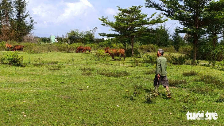 dự án - Ảnh 3.