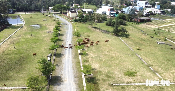 dự án - Ảnh 4.