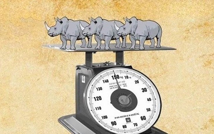 Tục ngữ thể hiện lòng hiếu khách của người Việt này là gì? - Ảnh 5.
