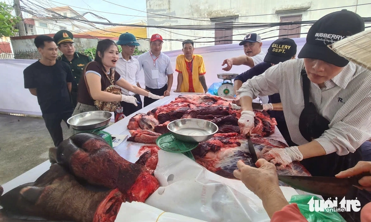 Trong sân 'ông trâu' đang chọi, ngoài sân trâu chọi đã bị xẻ thịt - Ảnh 1.
