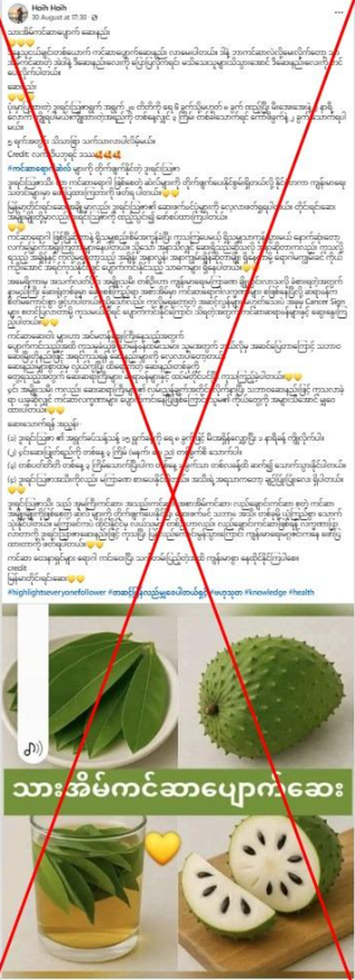 Trà từ lá mãng cầu có thật sự chữa được ung thư nội mạc tử cung? - Ảnh 2.