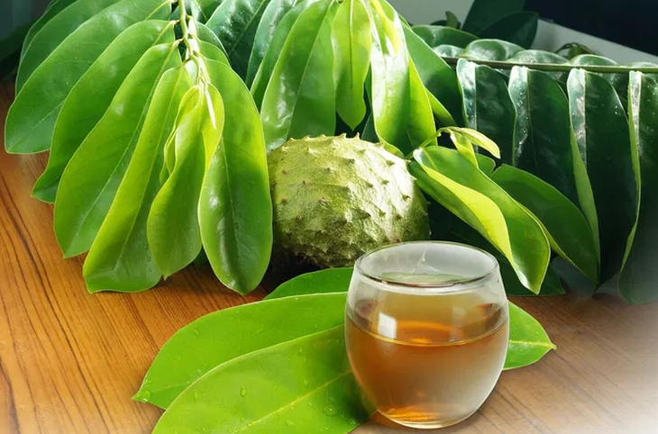 Trà từ lá mãng cầu có thật sự chữa được ung thư nội mạc tử cung? - Ảnh 1.