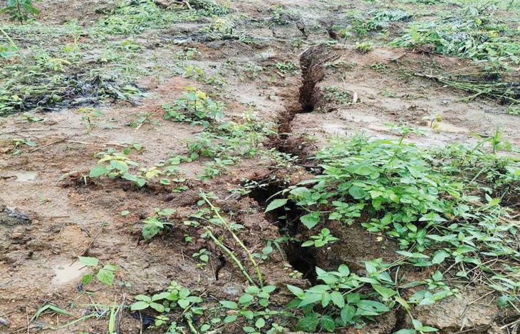 Vết nứt dài 200m trên quả đồi, Quảng Ngãi tính đào múc, hạ độ cao tránh sạt lở - Ảnh 1.