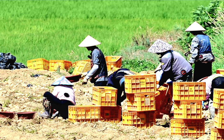 Hàn Quốc sửa luật để bảo vệ lao động nhập cư, kể cả nhập cư trái phép - Ảnh 2.
