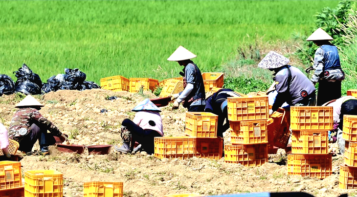 Hàn Quốc - Ảnh 1.
