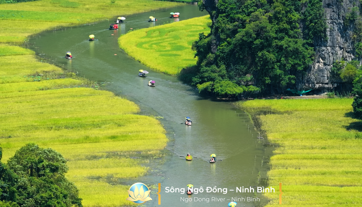 Vietnam Airlines - Ảnh 2.