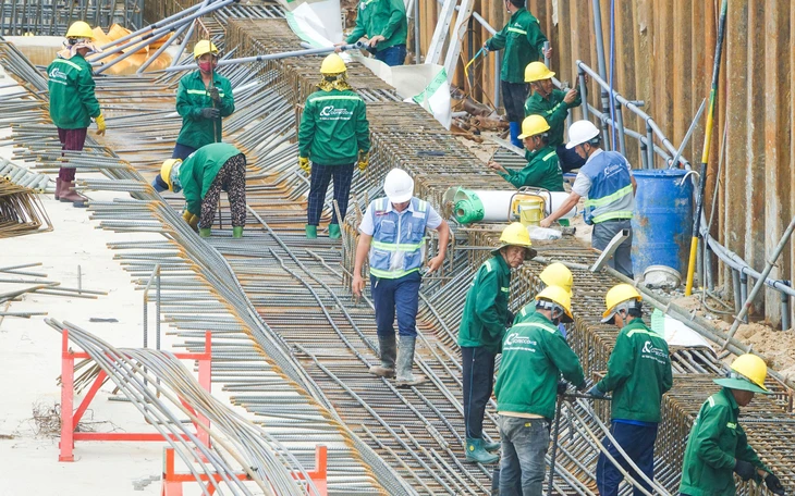 Xử lý các hộ dân bao chiếm, lấn đất rừng ở Phú Quốc - Ảnh 2.